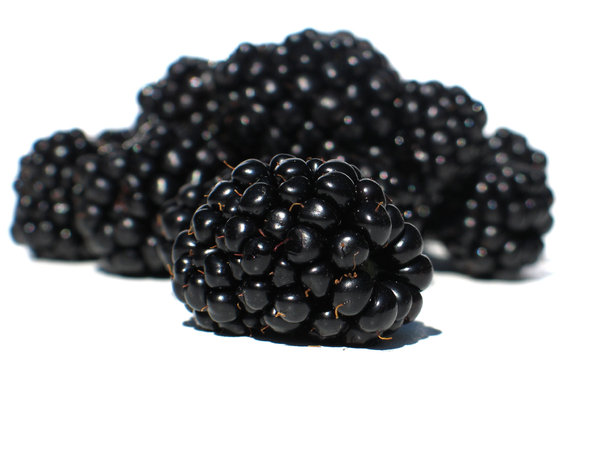 blackberries 1: none