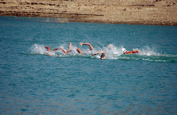 Swimmers in the reservoir