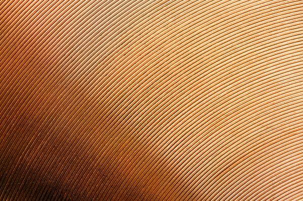 Brass Grooves: Curved lines cut into a brass metal panel on a wall at a New York subway station.