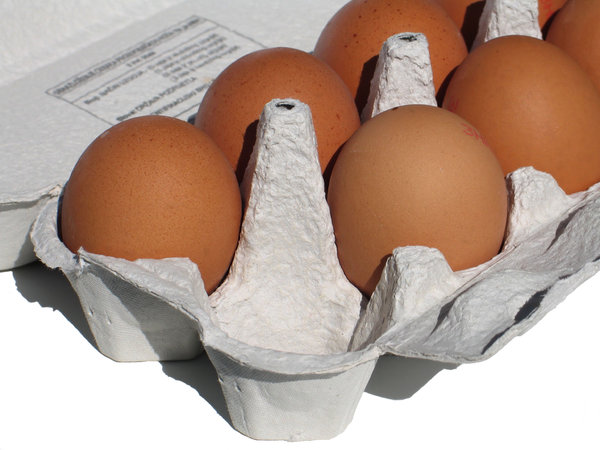 eggs carton 1