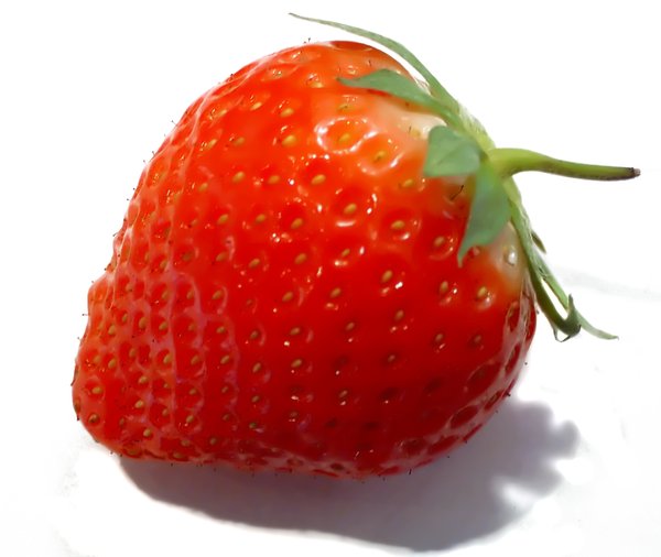 Isolated Strawberry: One from the vault.  Juicy red Dutch strawberry isolated over white.  Apologies for the size of the file.  It was shot on a 3MP point and click quite a few moons ago.