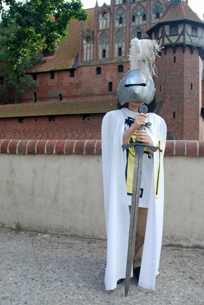 Young teutonic order's knight 
