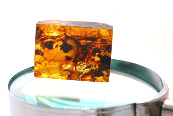 Mass of natural amber on magni