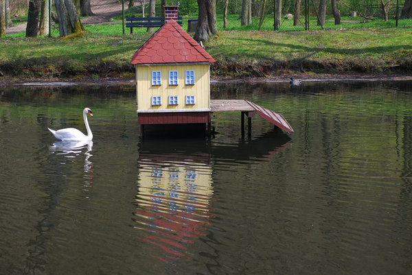 Swan and his house 3