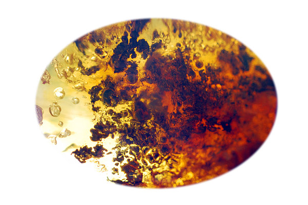Mass of natural amber from Bal