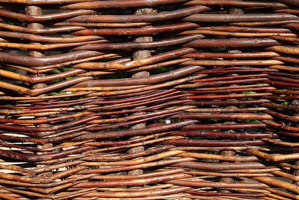 Pleat of the twigs, texture 2