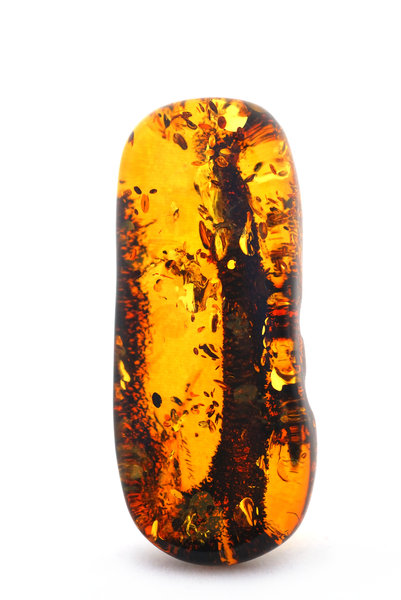 Natural baltic amber  1