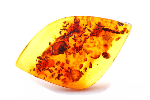 Natural baltic amber  3