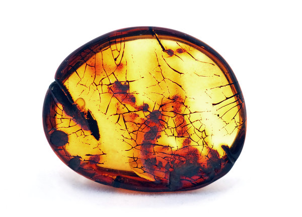 Natural baltic amber  5