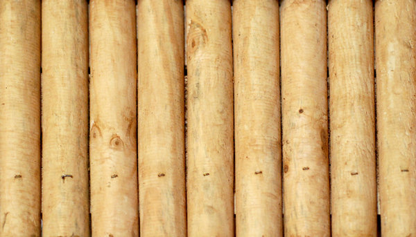 Background with wood 2