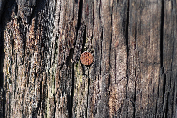 Old wood texture 2: Grunge wooden pattern