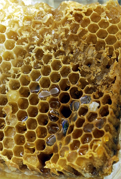 Honeycomb 1