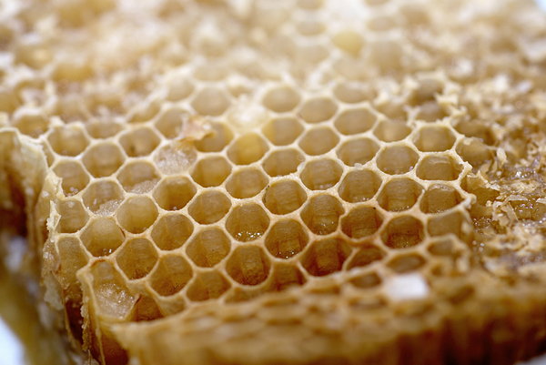 Honeycomb 5: Close-up of honeycomb