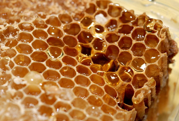 Honeycomb 3