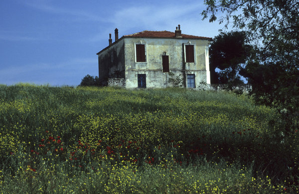 Old house: Old house in a flower field at Sain Mammas village in Chalkidiki, North Greece