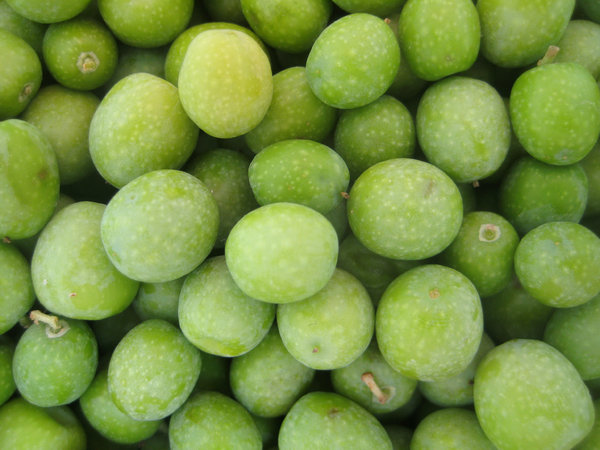 olives-01 | Free stock photos - Rgbstock - Free stock images | ciscopa