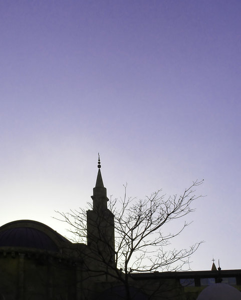 Mosque at dusk 2