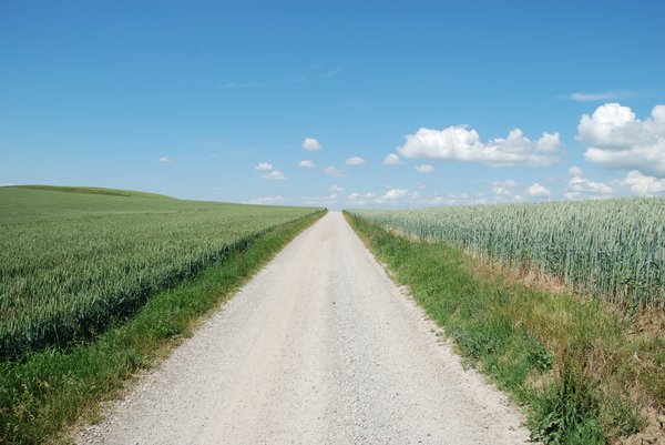 Road and fields
