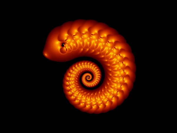 Spiral shell 4