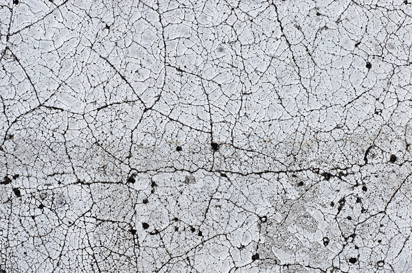 Cracked Paint 2: Cracked paint in a parking lot. This paint was on one of the white arrows painted on the asphalt.