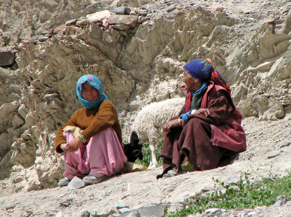Ladakhi Women with a Sheep