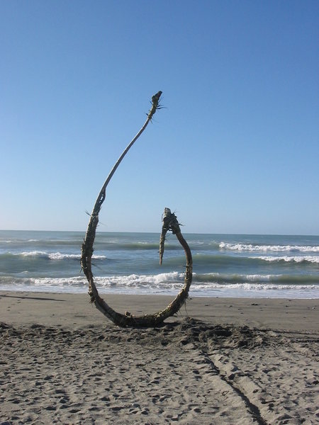 Escultura Beach: 