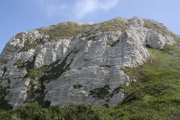 Chalk cliff