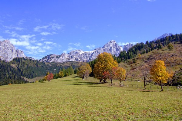 autumn mountains: die "hofalmen" in filzmoos - salzburg austria, near the "bishops-hut" mountain