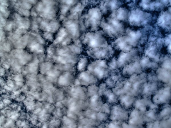 Texture - Fleecy clouds