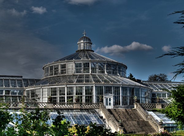 Greenhouse - HDR