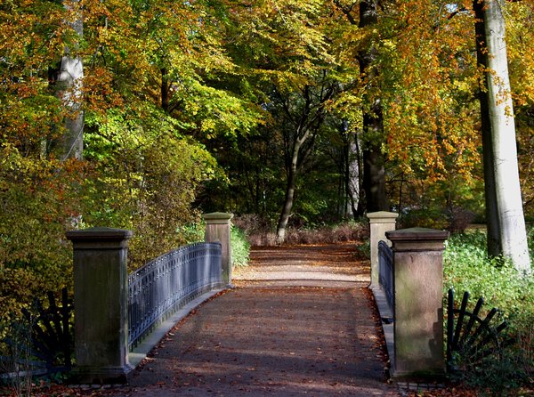 Autumn park'n bridge