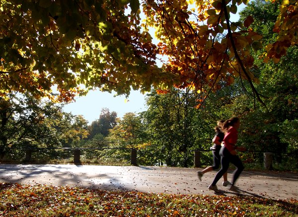 Running: Two girls running in a autumn forrest