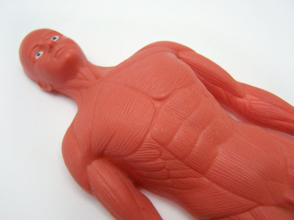 Anatomy Doll 1