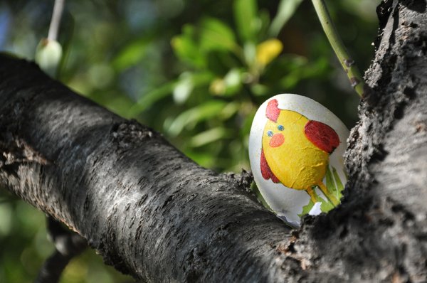 Easter egg waiting to be found: Easter egg painted by grandma in the forest waiting to be found!