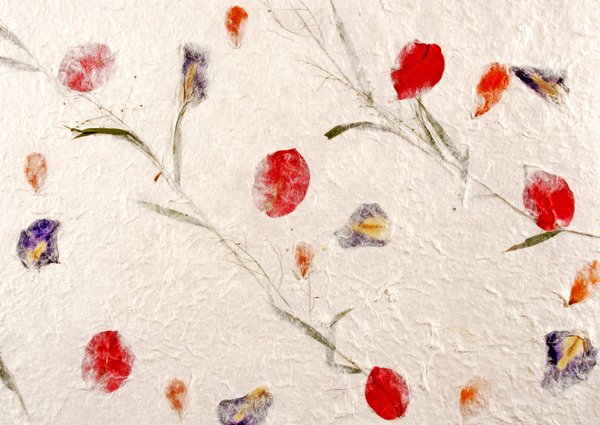 Handmade Paper with Flowers: Real flower pedals and leaves are imbedded between the silky layers of these handmade paper sheets.