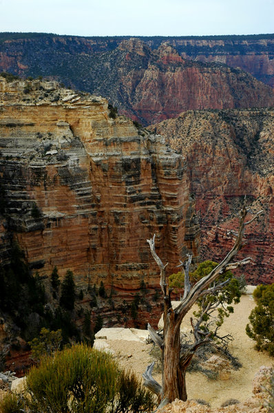 Grand Canyon Scenic 1
