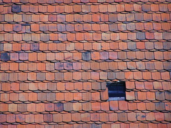 Slate tile roof
