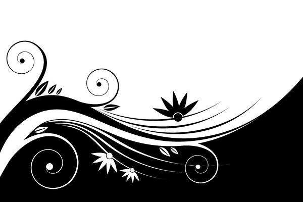 Black & White Floral: Black and white floral background