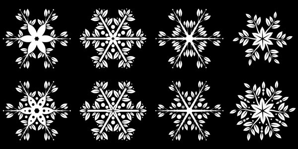 Floral Snowflakes: Floral Snowflakes on the black background