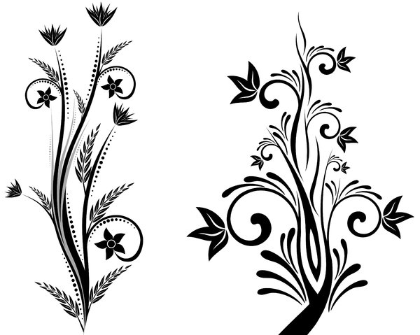 Isolated B&W Floral Set 4: Package of black and white isolated objects (florals), containing  flowers, trees, leaves, etc.