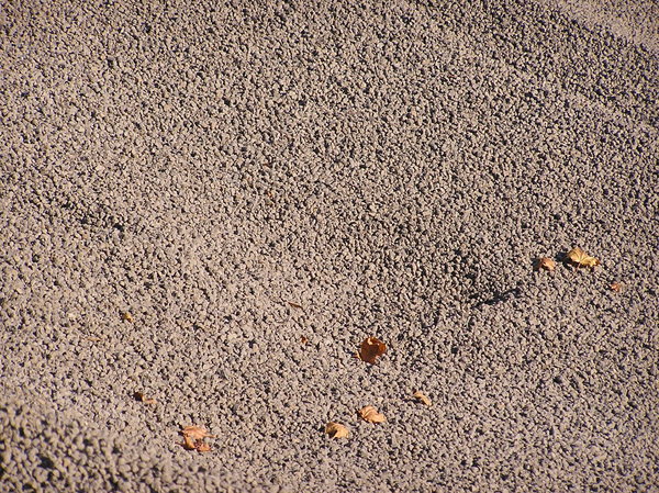Gravel and leaves