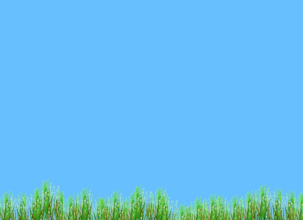 Spring Grass, Blue Sky