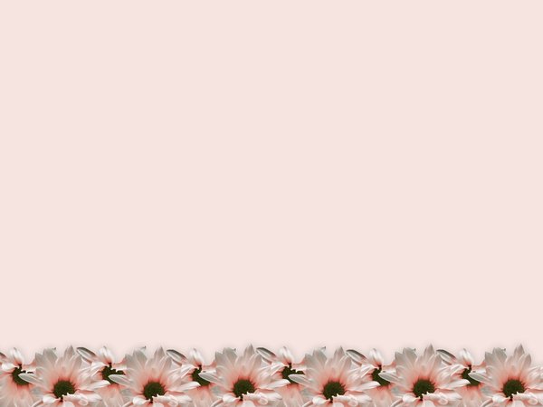 Floral Border 21: Floral border on blank page. Lots of copyspace.