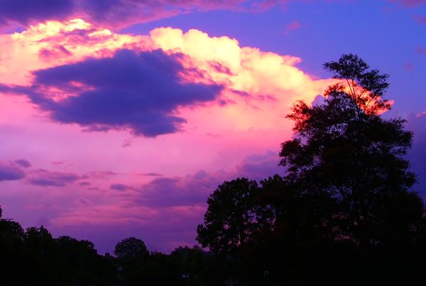 Glorious Sky: A storm front at sunset reflects the pinks and gold.  