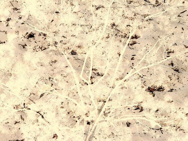 Earthy Collage: Neutral colours in a marbled texture, grunge effect.