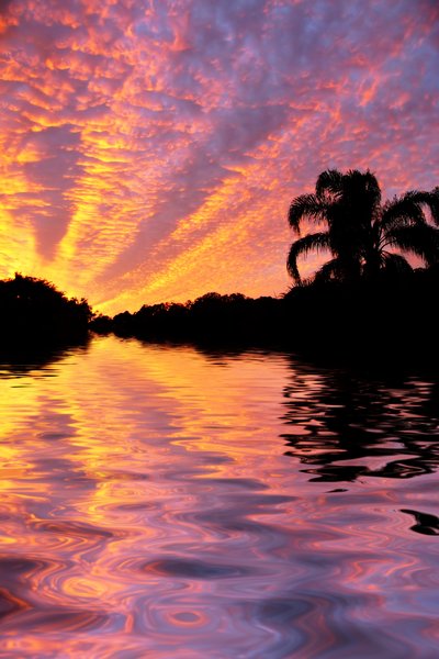 Tropical Waters 1: Spectacular sunset (the colours are not intensified) in purple and gold over tropical waters. Photo and graphic.