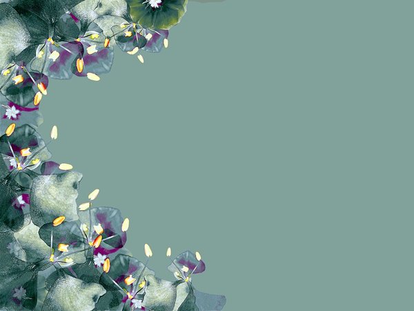 Floral Border: A border of flowers. Lots of copyspace. Photo and graphic. 