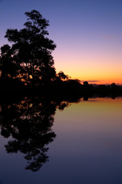 Water Scene with Sunset: Photographic and nature scene. Sunset behind treetops. Colours are untouched.