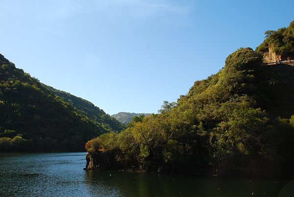 River landscape 1