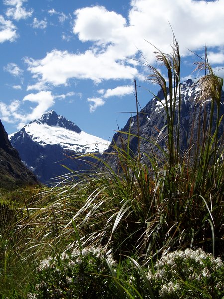 Fiordland Entrance